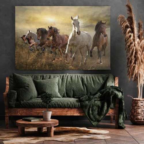 Obraz na płótnie - Niech żyje wolność! - Grupa galopujących koni na tle zachodzącego słońca - 70x50cm