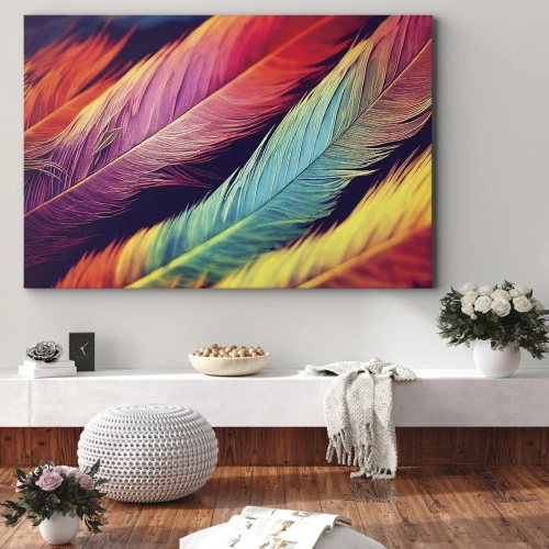 Obraz na płótnie - Pierzasta tęcza - Kolorowe pióra w intensywnych barwach - 70x50cm