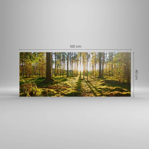 Obraz na płótnie - …Za siedmioma lasami - 100x40 cm