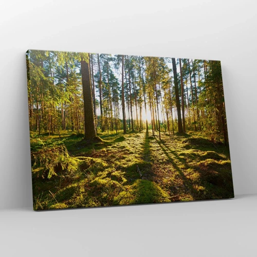 Obraz na płótnie - …Za siedmioma lasami - 70x50 cm