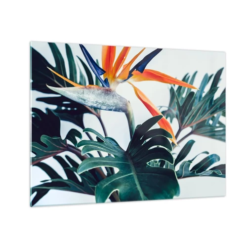 Obraz na szkle - Ptakokrzak - 70x50 cm