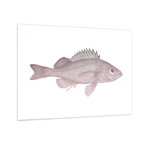 Obraz na szkle - Ryba wielkooka - 70x50 cm