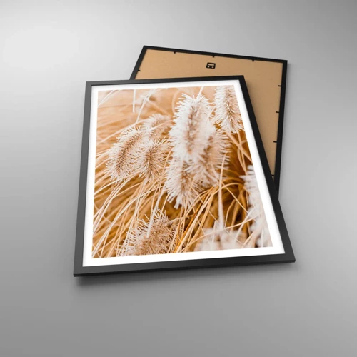 Plakat w czarnej ramie - Złoty szelest traw - 50x70 cm